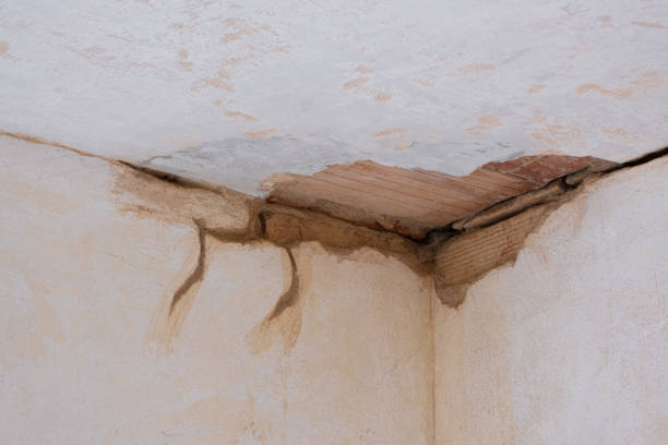 Best Water damage repair service  in Toulon, IL