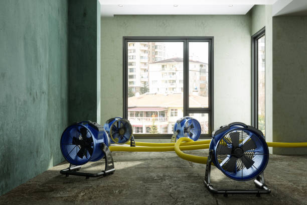 Best 24/7 water damage repair  in Toulon, IL